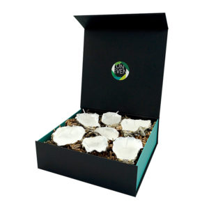 kaars-oester-giftbox-groot